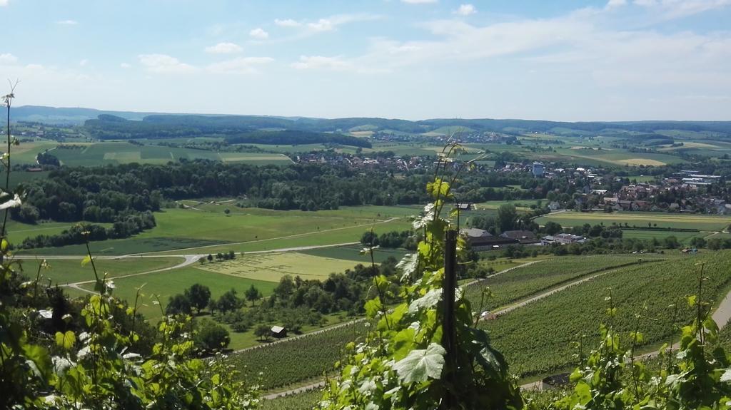 Wein- Appartements Borth Bretzfeld المظهر الخارجي الصورة